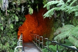 Hilo Hawaii Thurston Lava Tube